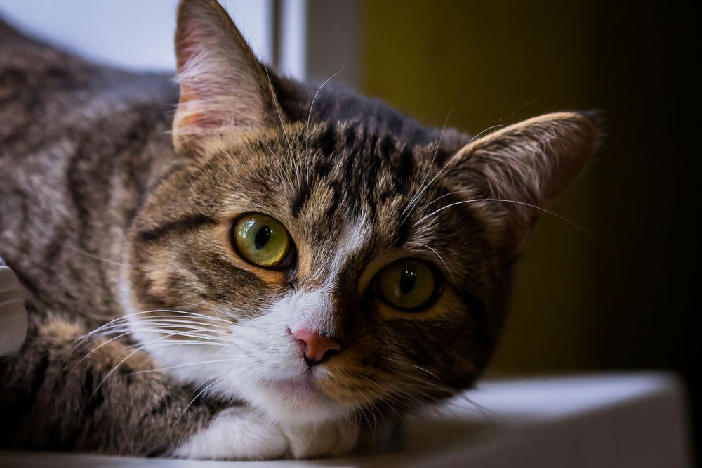 Photograph by Денис Сухачев