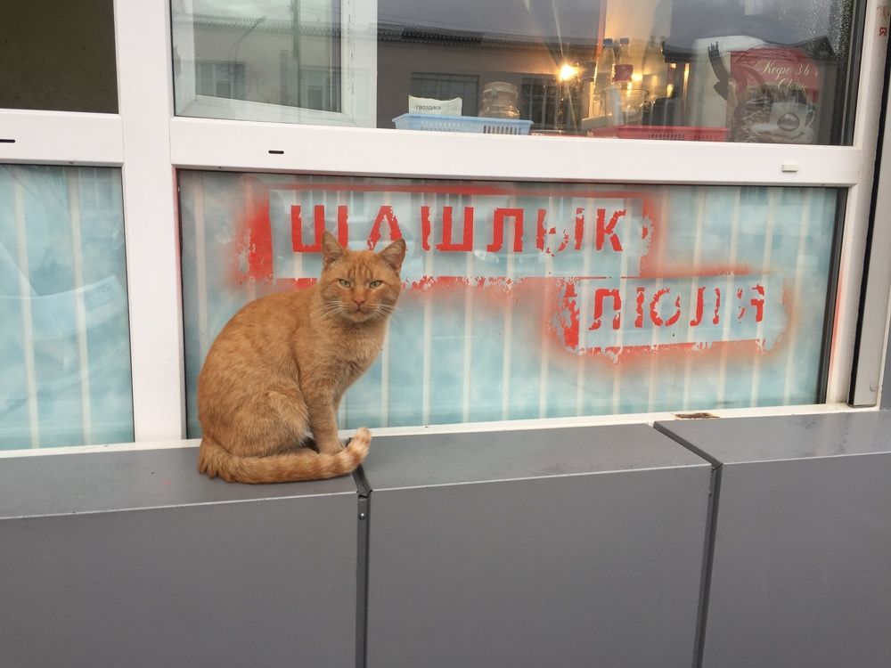 Photograph by Денис Сухачев