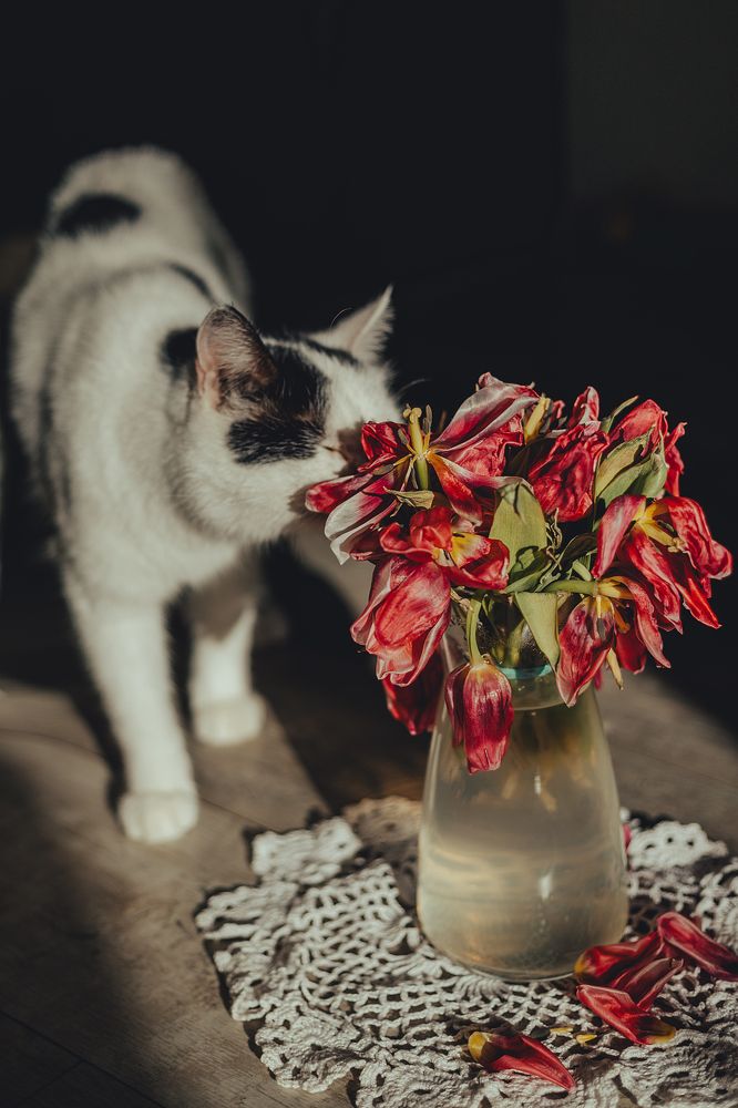 Photograph by Алена