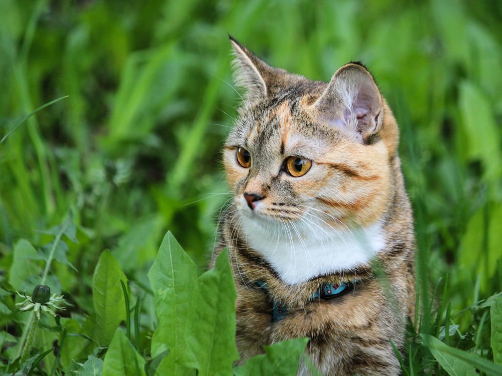 Photograph by Юлия Серазетдинова