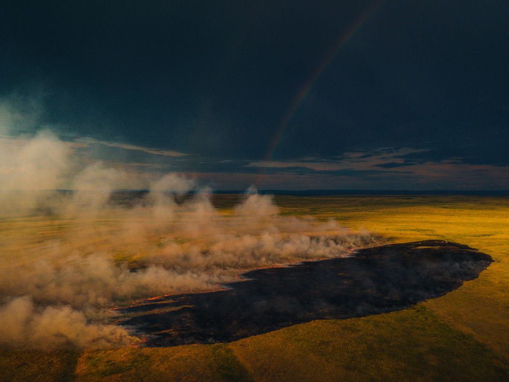 Steppe burn