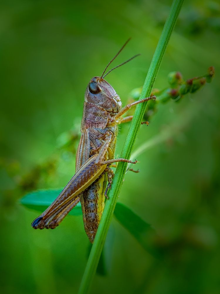 Photograph by Лариса Когтева