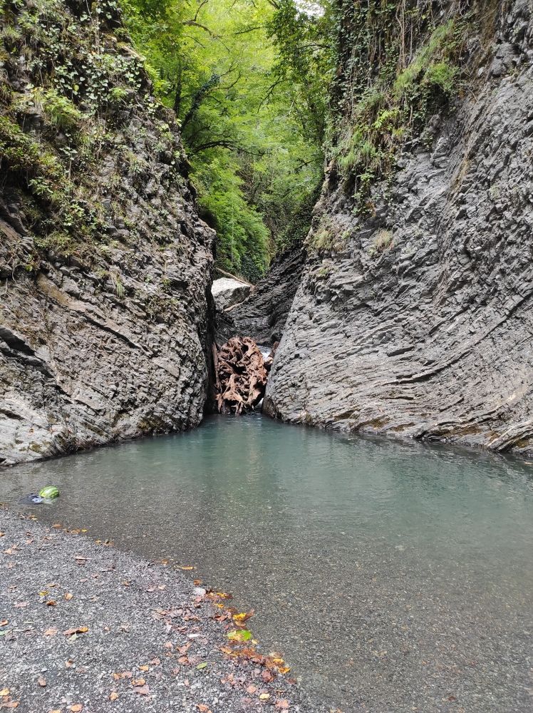 Photograph by Антон