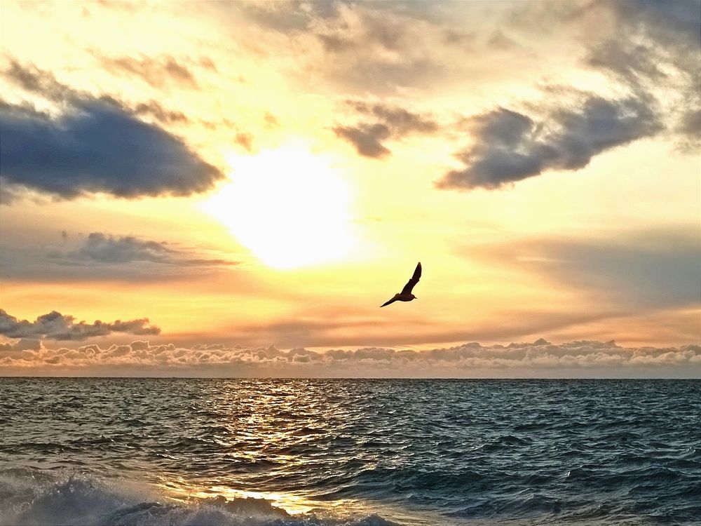 Photograph by Марина Хохрякова