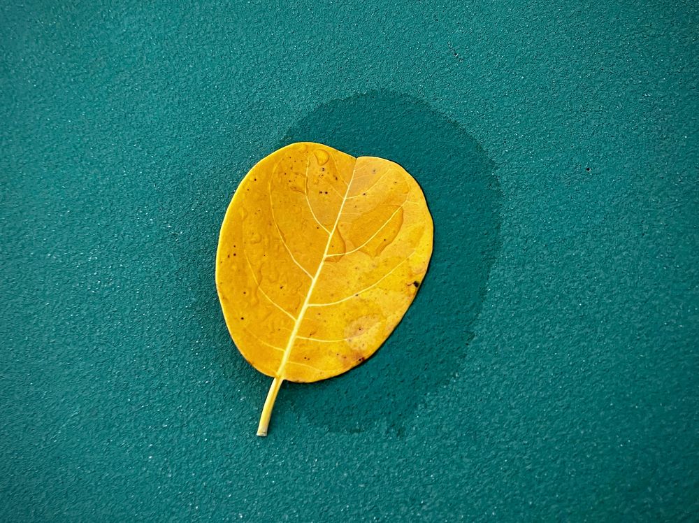 Photograph by Wang Li