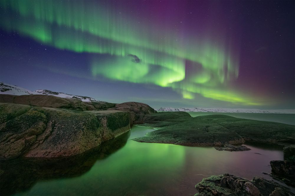 Photograph by Елена Ермолина