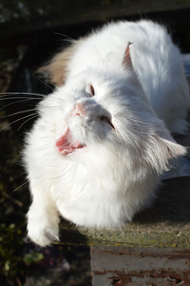 Photograph by Наталья Маслова