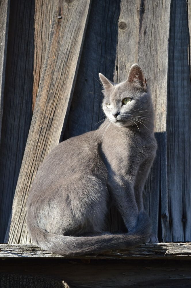 Photograph by Наталья Маслова