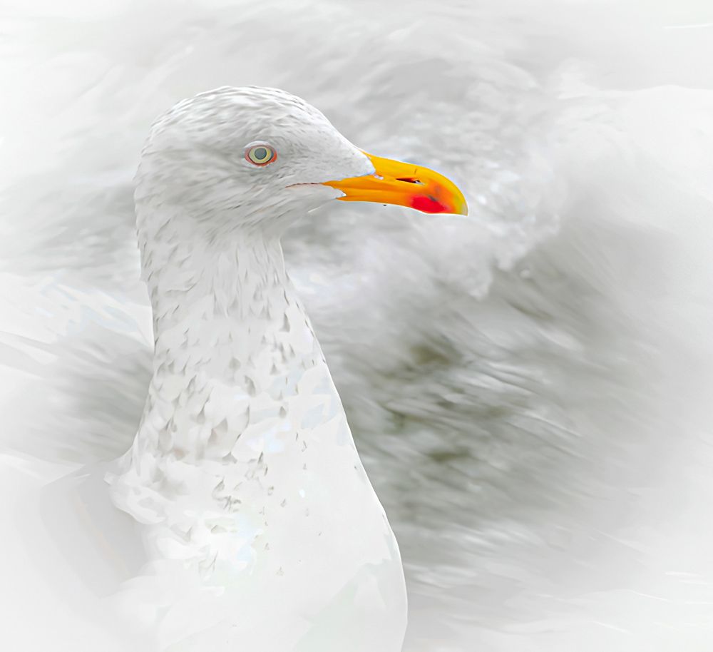 Фотография автора Michael Gault