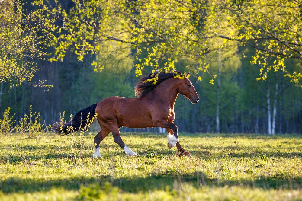 Photograph by Alexia Khruscheva