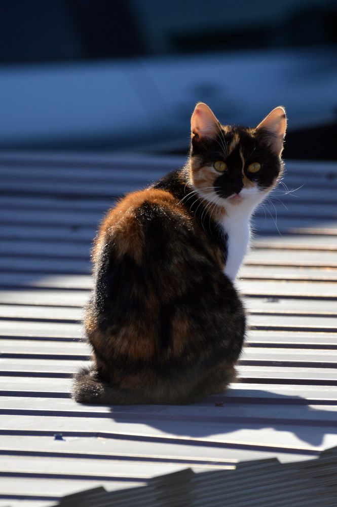 Photograph by Наталья Маслова