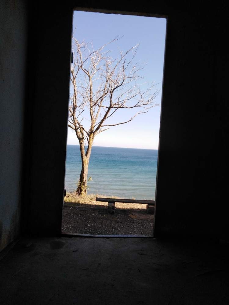 Photo #8863711