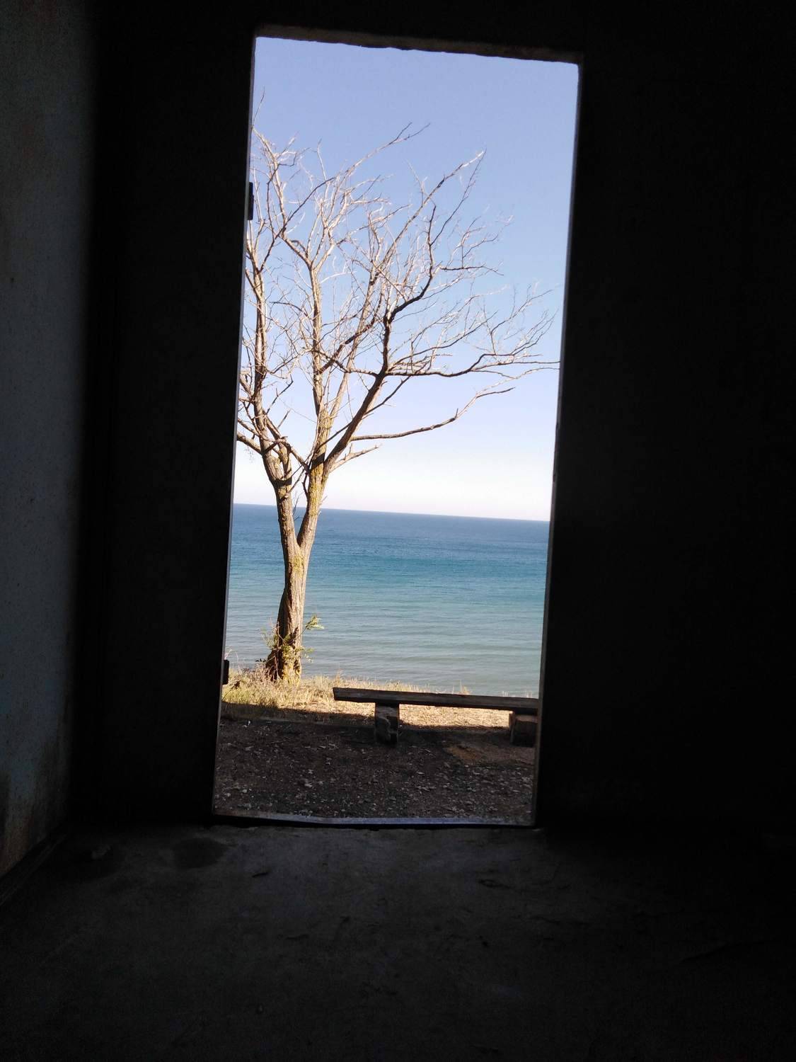 Photo #8863711
