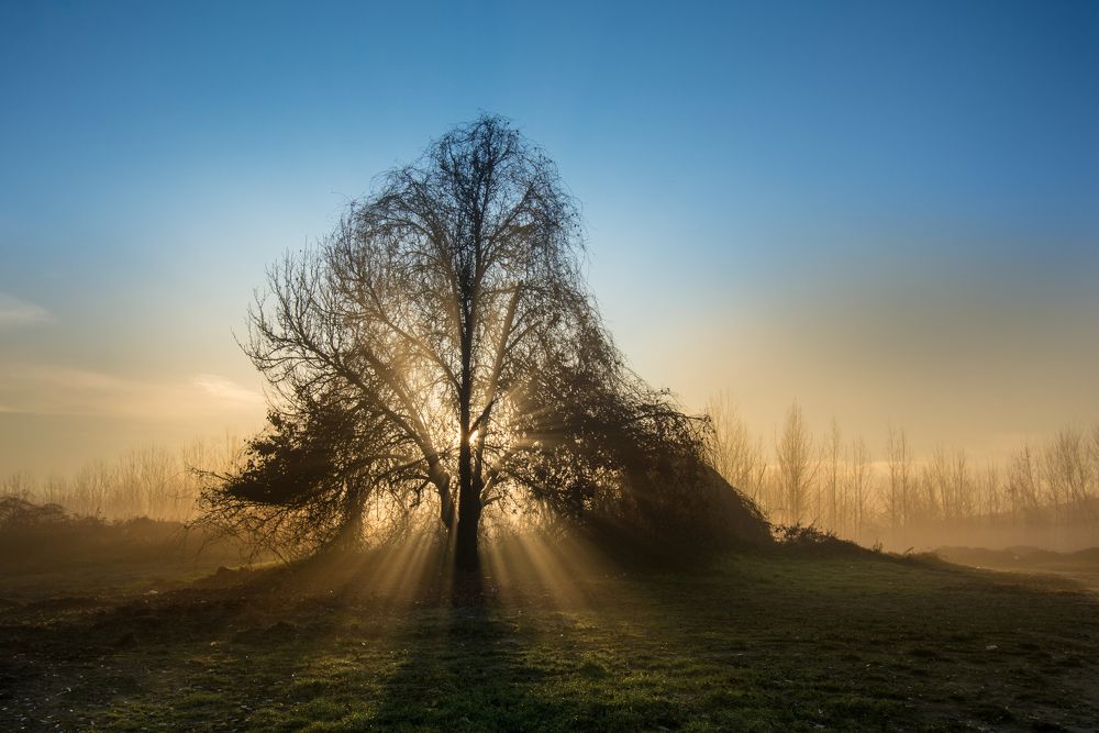 Photograph by Maja Tomić