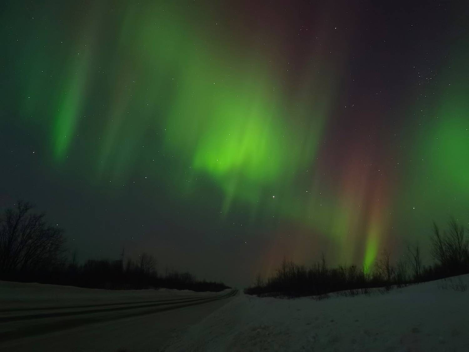 Photo #8863762