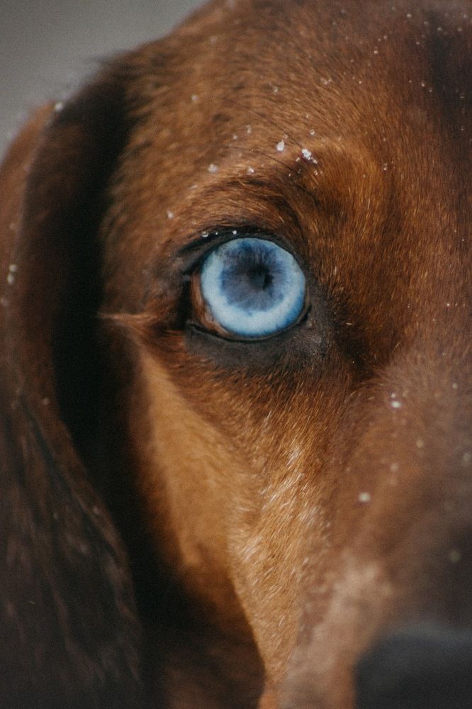 Photograph by Ангелина Ледовская