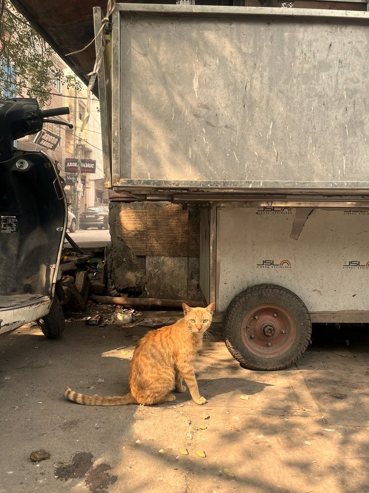 Photograph by Nishant Raj