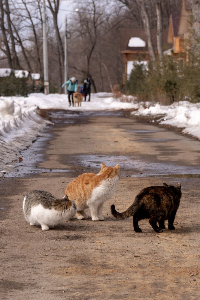 Photograph by Алексей Семин