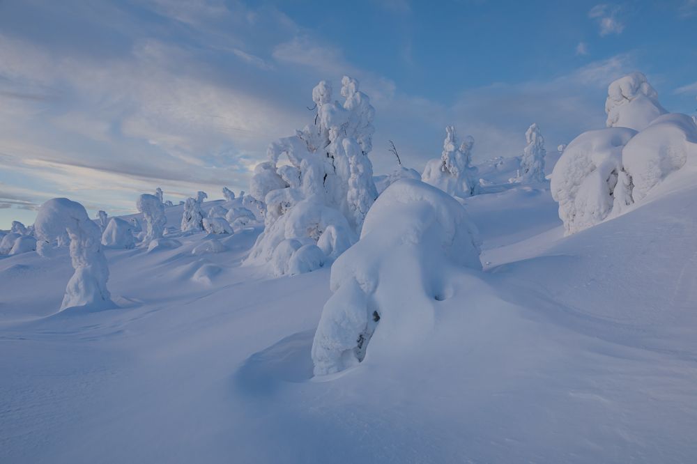 Photograph by Мария Казакова