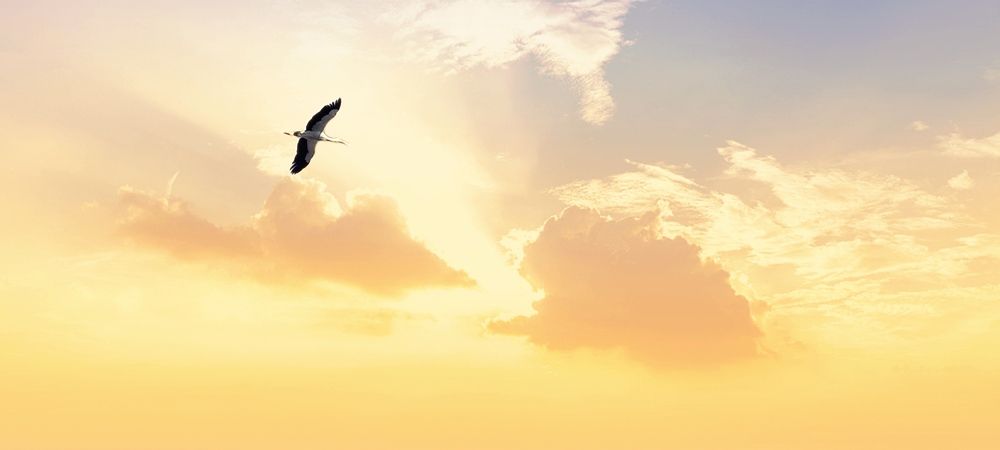 Photograph by Юрий Корсунцев