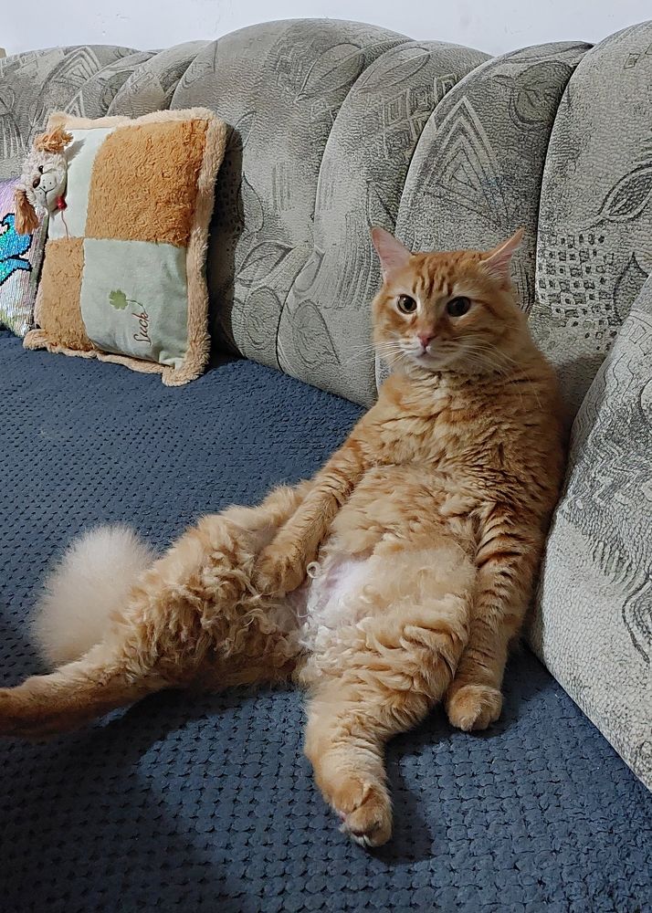 Photograph by Levin Mikhail