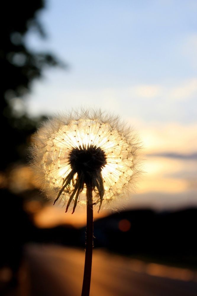 Photo #8863880