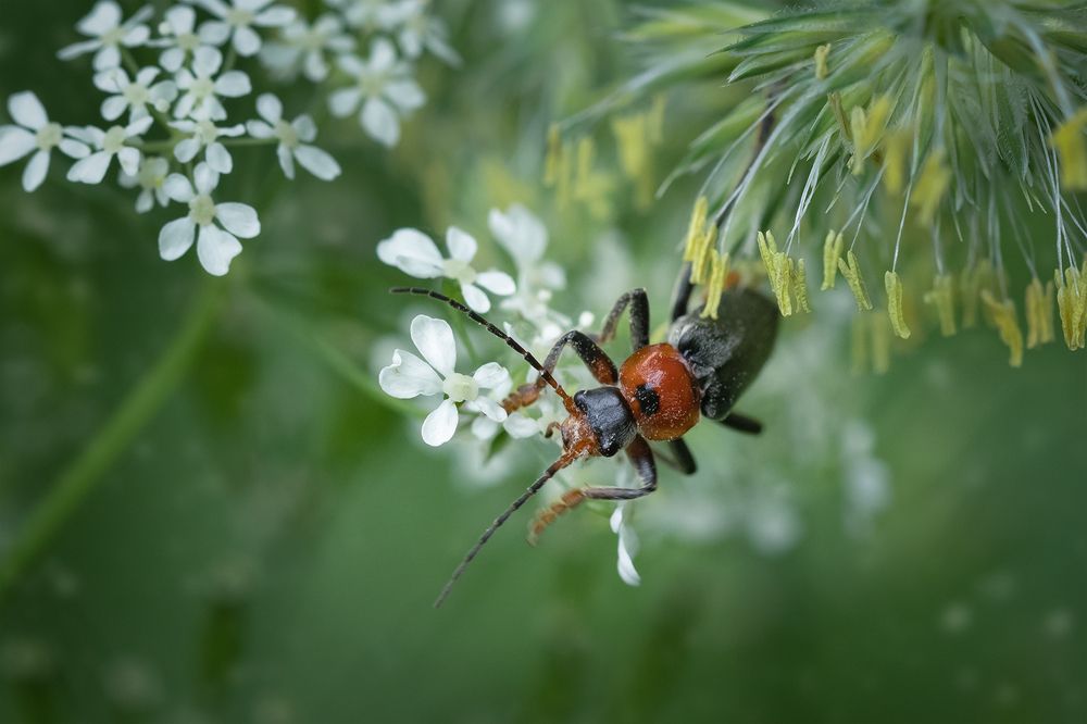Photograph by Хилько Марина