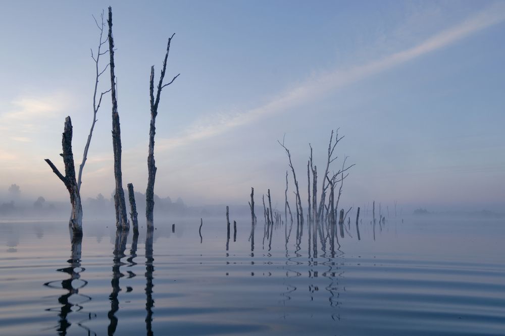 Photograph by Михаил Бронников