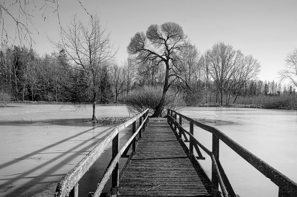 Photograph by Albina Kulikova