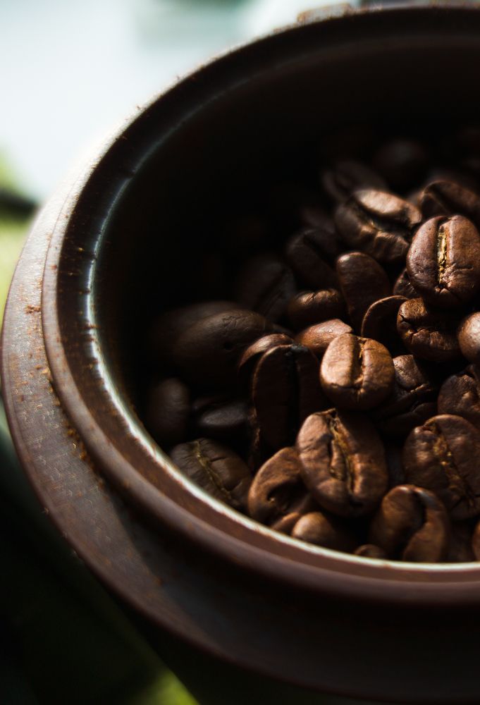 Фотография автора Александр Андреянов