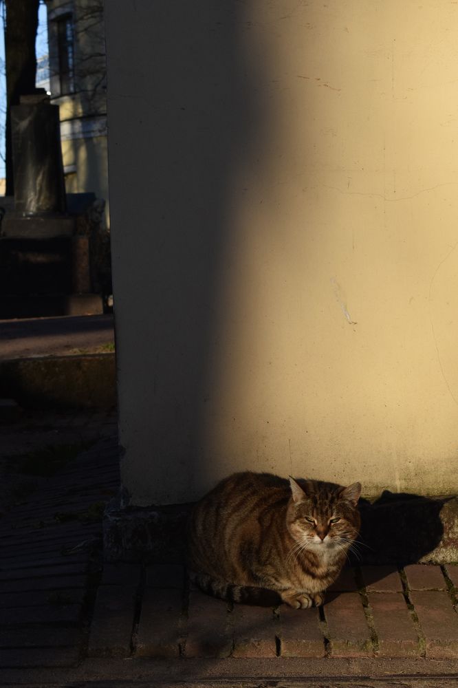 Photograph by Фирсова Наталья