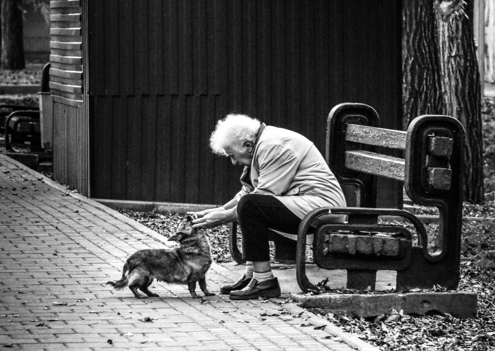 Photograph by Юлия Ковальчук