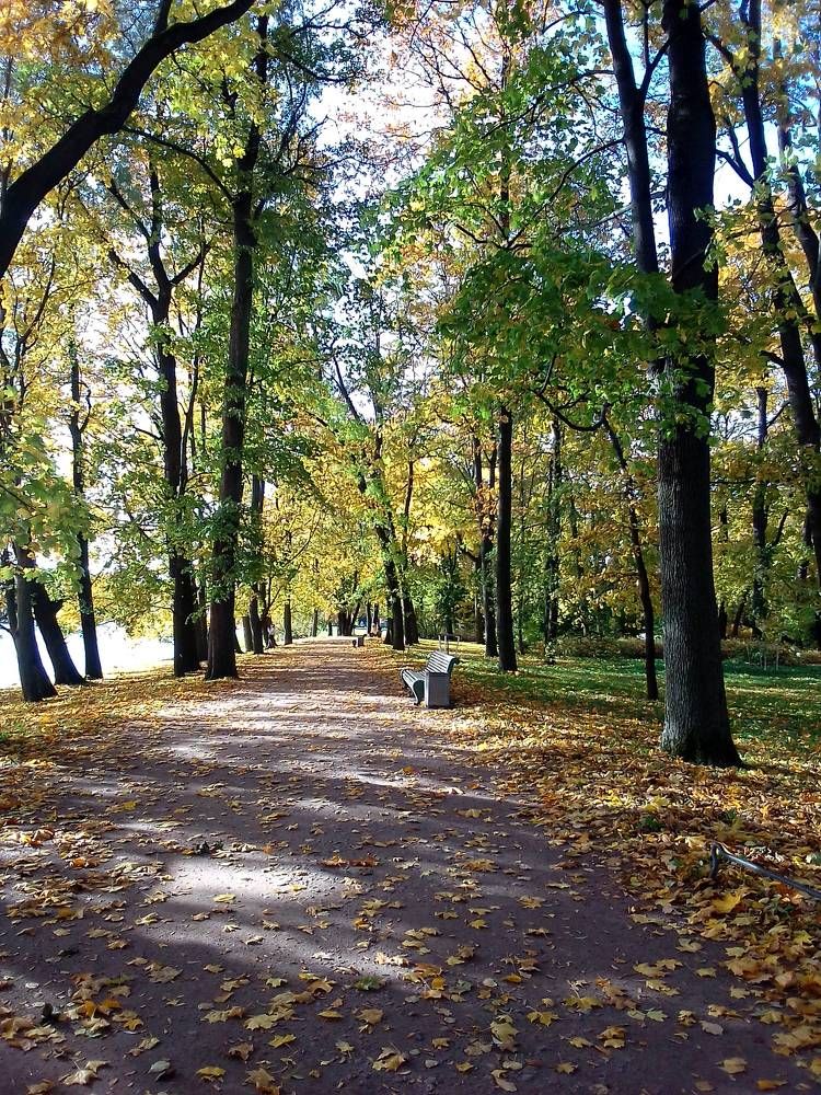 Photograph by Ольга Коркина