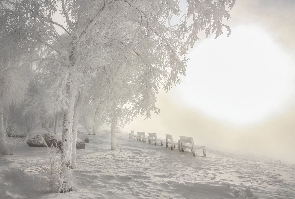 Photograph by Ольга Литвинцева