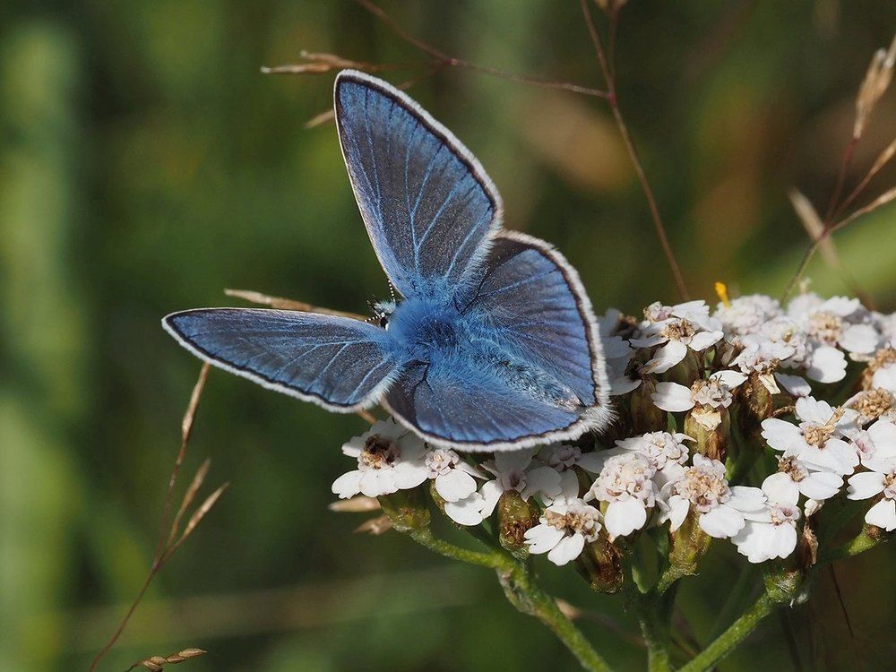 Photograph by Сергей Духанин