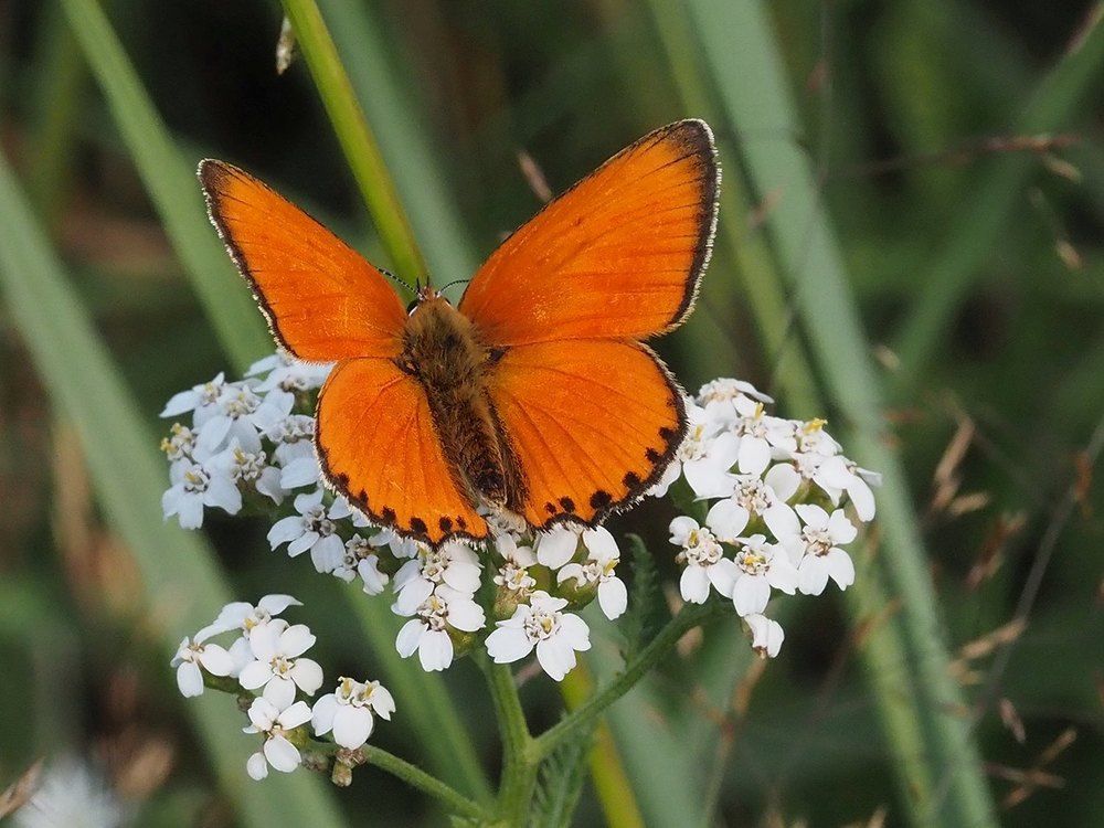 Photograph by Сергей Духанин