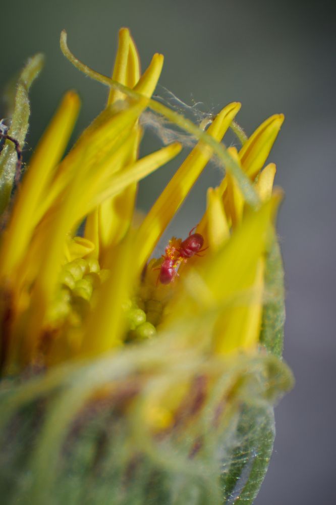 Photograph by Анастасия Рубан