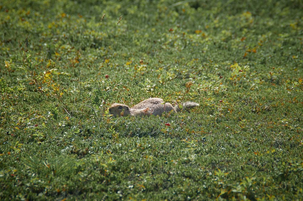 Photograph by Анастасия Рубан