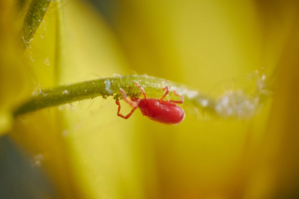 Photograph by Анастасия Рубан