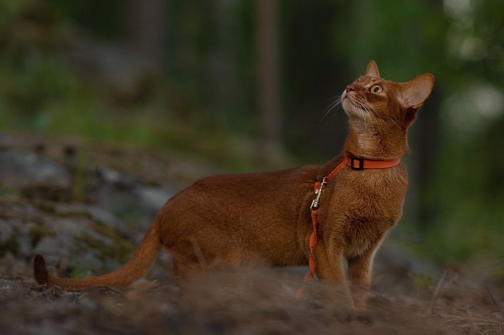 Photograph by Елена Михайлова