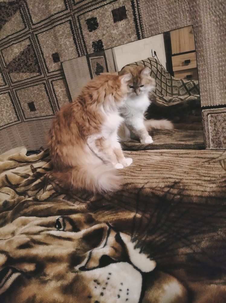 Photograph by Надежда Болтунова