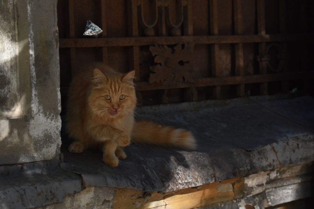 Photograph by Фирсова Наталья