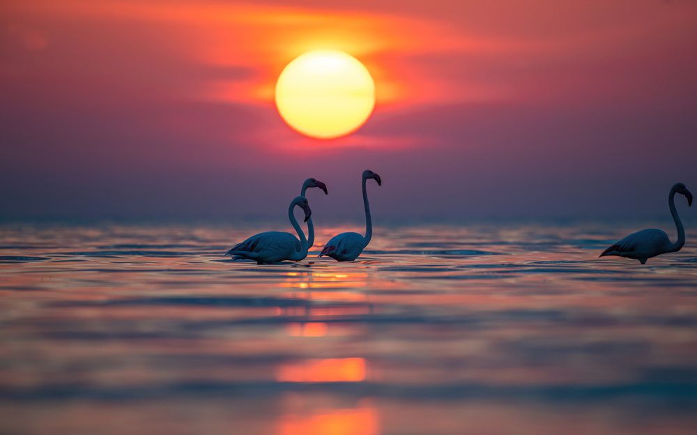 Photograph by Amjad Ali