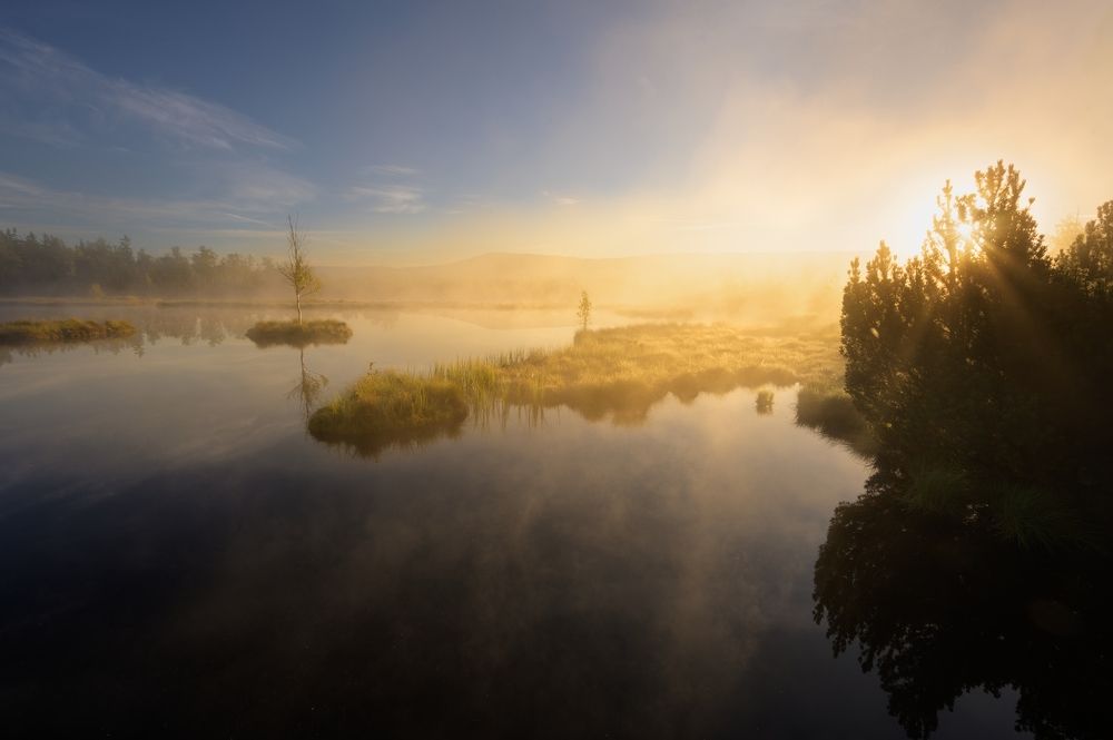 Early morning at Bohemian Forest