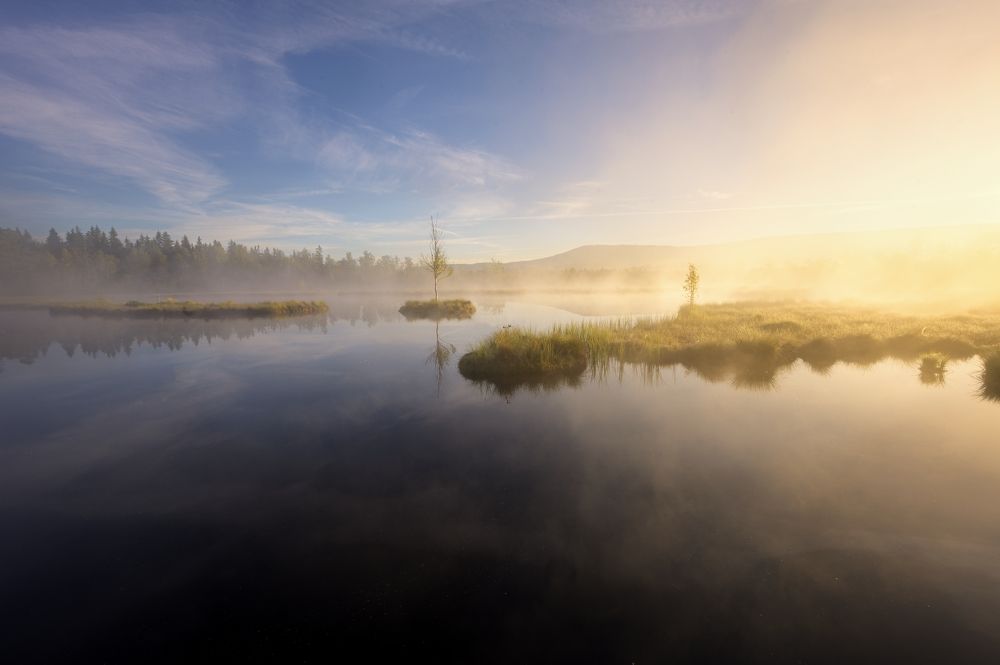 Foggy morning in Bohemian Forest