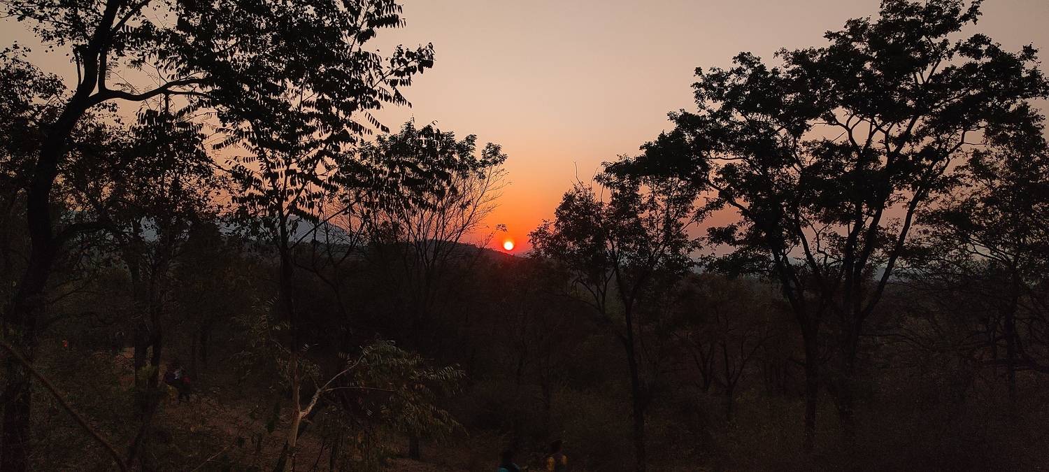 Sunrise in a forest trek