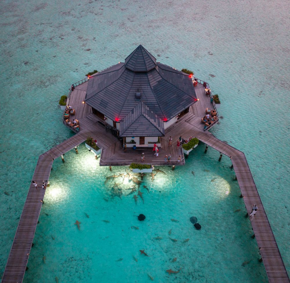 Ocean eco-friendly restaurant