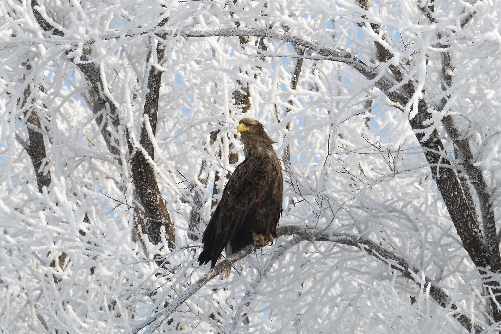 Photograph by Василий Дудин