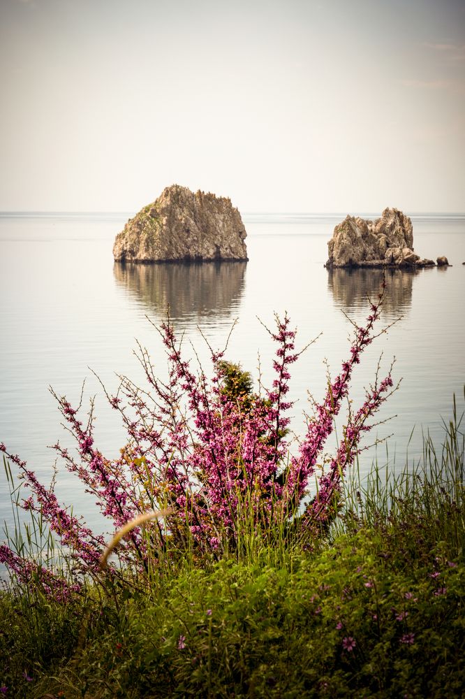 Photograph by Андрей Жучков