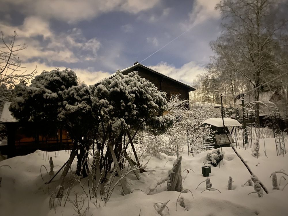 Photograph by Елена Осипова